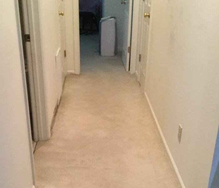 narrow hallway with beige carpet