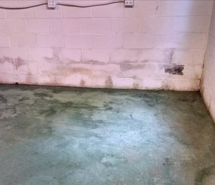 mold in unfinished basement