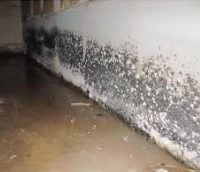 Corner of concrete basement with mold spores along the wall 