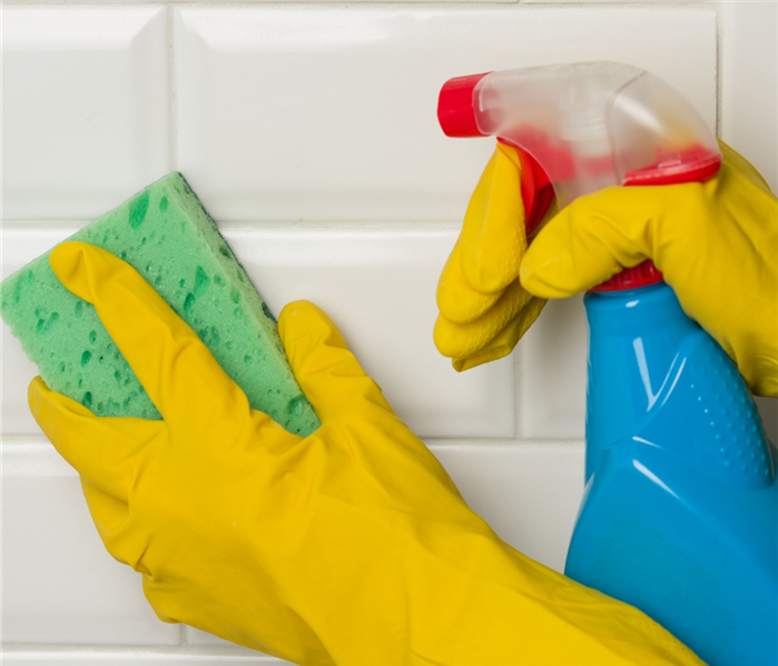 A blue spray bottle and yellow sponge are cleaning a tile wall.