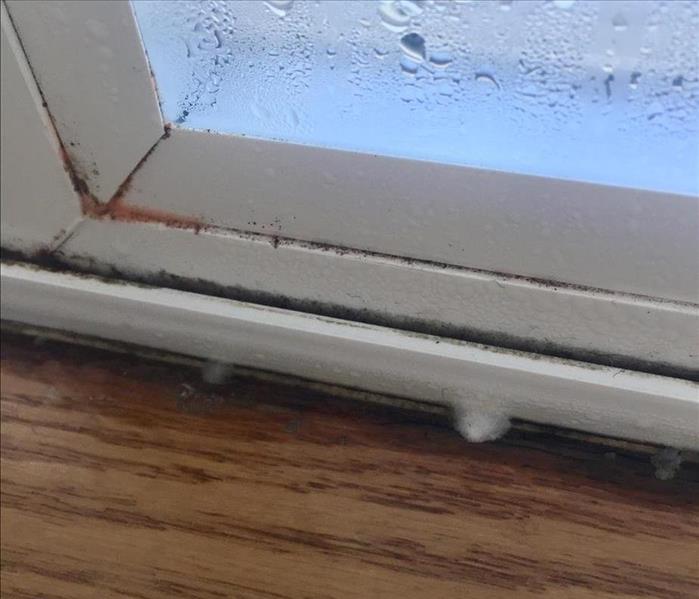 condensation on window sill