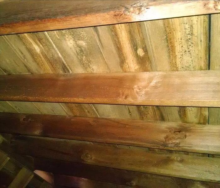 moisture and mold spores in the ceiling of a wooden attic 